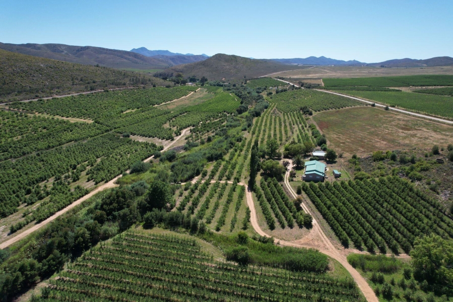0 Bedroom Property for Sale in Uniondale Rural Western Cape